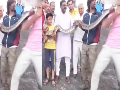 python viral video   સેલ્ફી લીધા બાદ અજગર ગુસ્સે થયો  યુવકનો ચહેરો ફાડી નાખ્યો