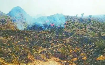 rajasthan   સિકરાઈમાં પહાડીની ટોચ પર જંગલમાં આગ લાગી  40 હેક્ટર વિસ્તાર નાશ પામ્યો
