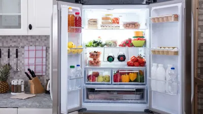 refrigerators  5 સ્ટાર રેટિંગ સાથેનું સૌથી સસ્તું ફ્રિજ  જે તમારું વીજળીનું બિલ અડધાથી પણ ઓછું કરી દેશે 