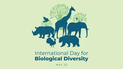international biodiversity day 2024  આ વખતે આ થીમ સાથે આંતરરાષ્ટ્રીય જૈવવિવિધતા દિવસની ઉજવણી કરવામાં આવી રહી છે 