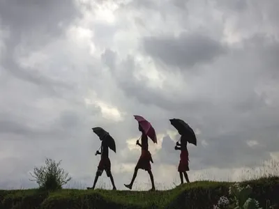 monsoon update  દક્ષિણ પશ્ચિમ ચોમાસું 31 મેની આસપાસ કેરળ પહોંચવાની શક્યતા  હવામાન વિભાગની આગાહી